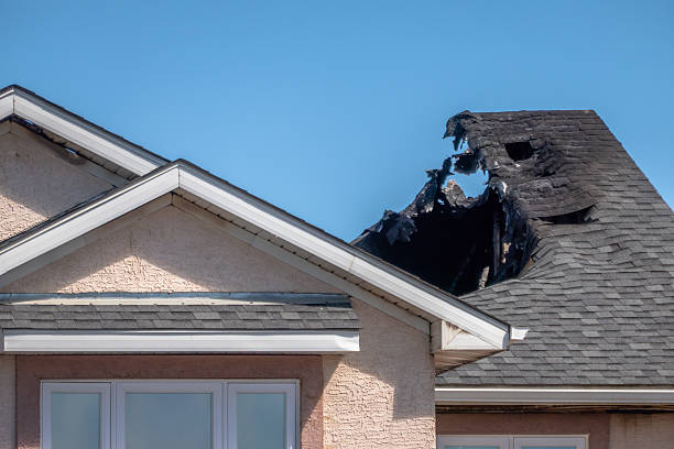 Licensed Content Restoration service in Belle Mead, NJ - Fire Damage Biloxi
